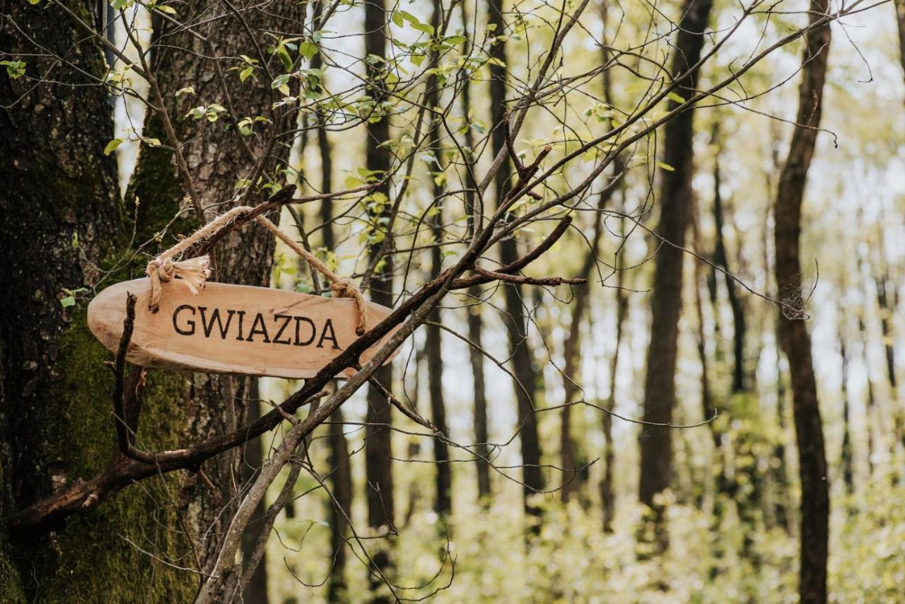Dziki Las - Domki Na Drzewach Миломлын Экстерьер фото